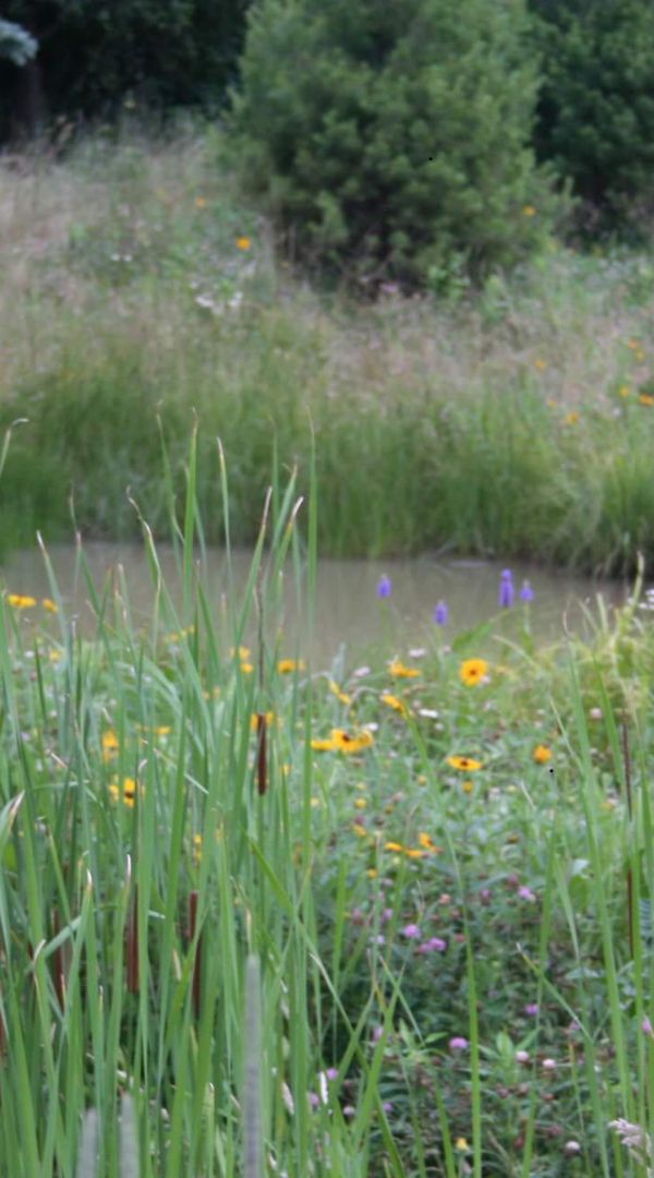 Mosquito control services in Farmington Hills.