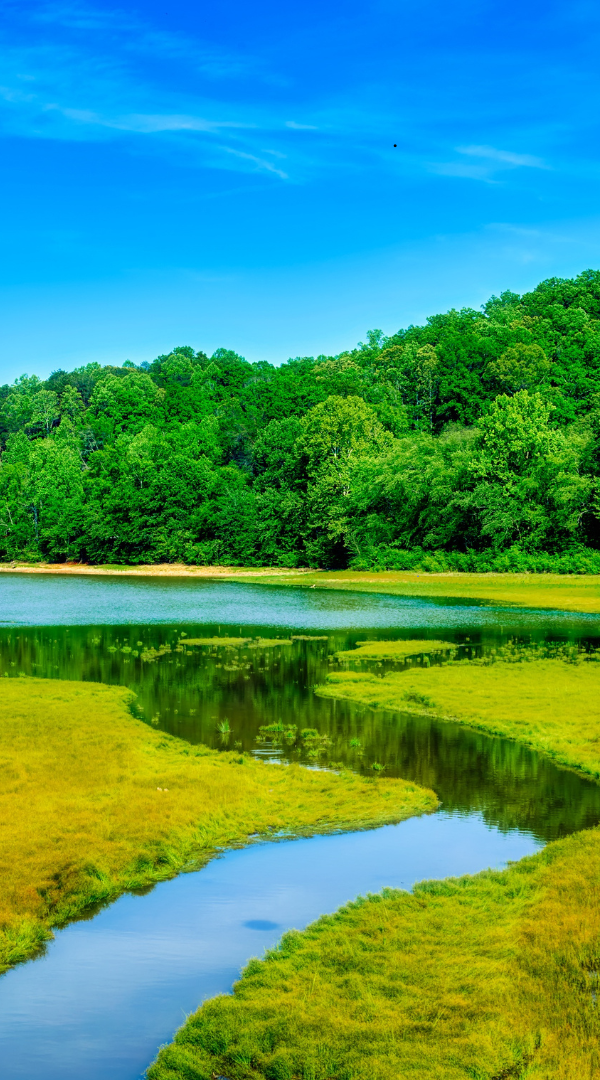 Mosquito control services in Columbus