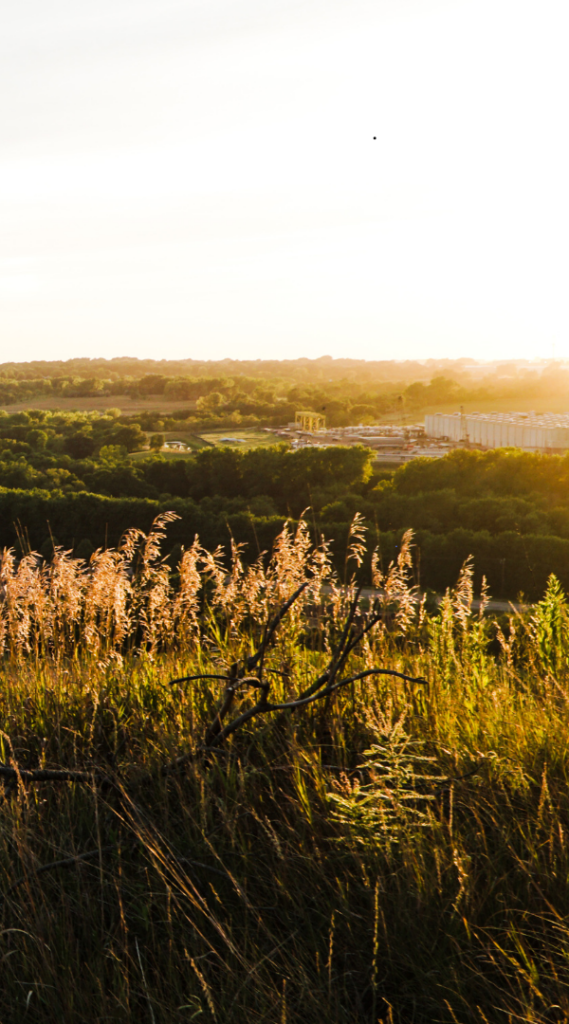 Mosquito Control Services in Harrisburg, SD.