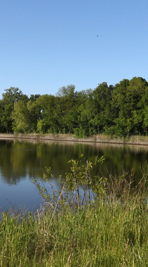 Mosquito control services in Wichita