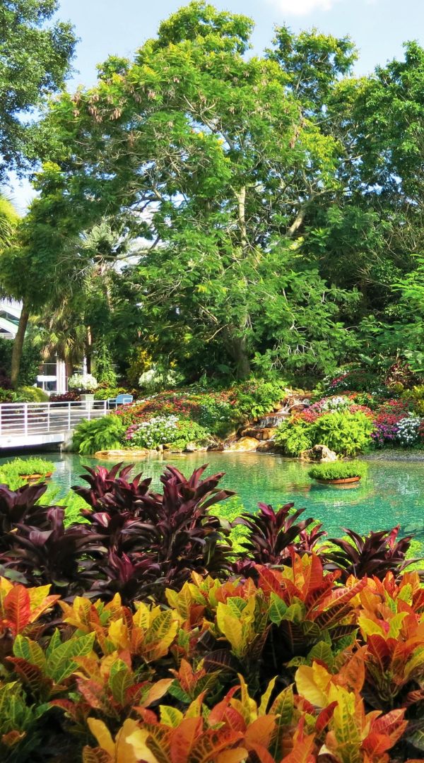 mosquito control services in Largo, Florida.