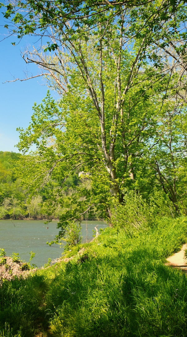 Mosquito control services in Easton
