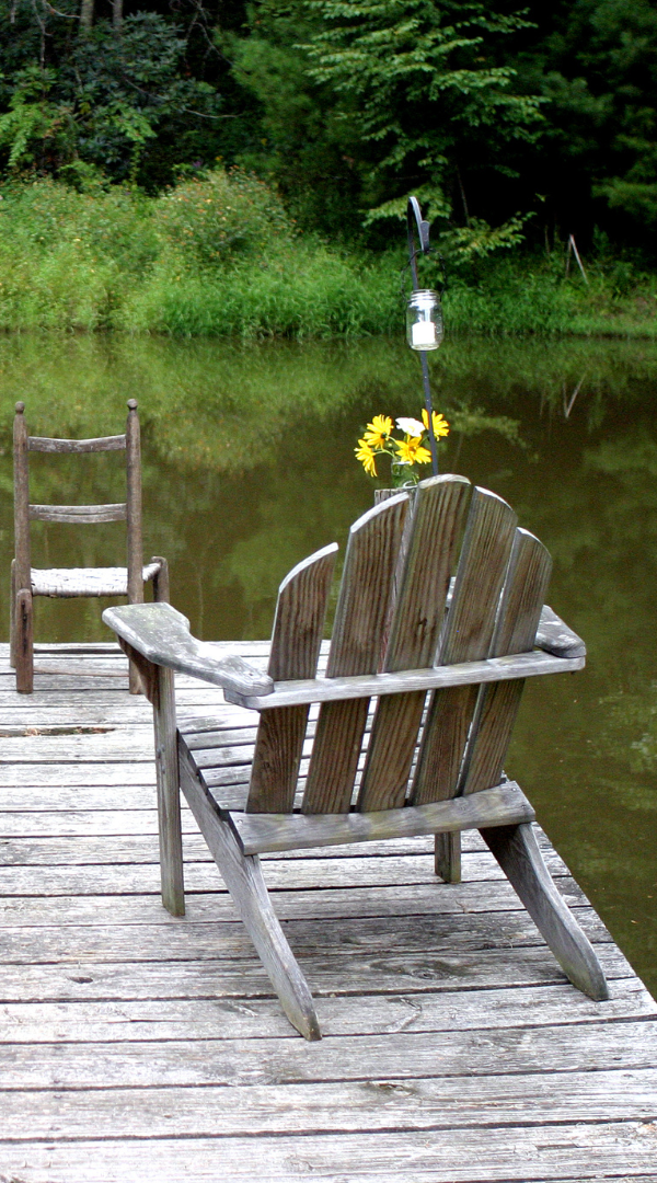 Mosquito control services in Mooresville