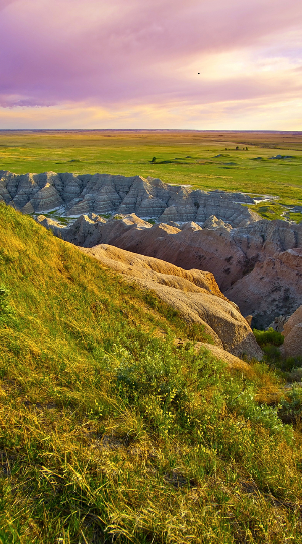 Mosquito control services in Sioux Falls