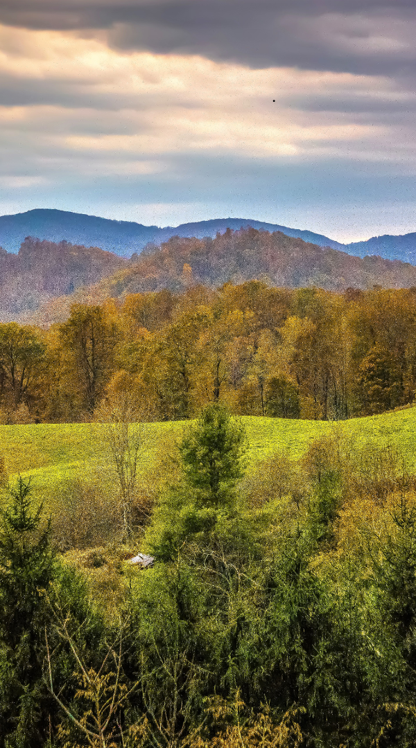 Troutman North Carolina Mosquito Control Services.