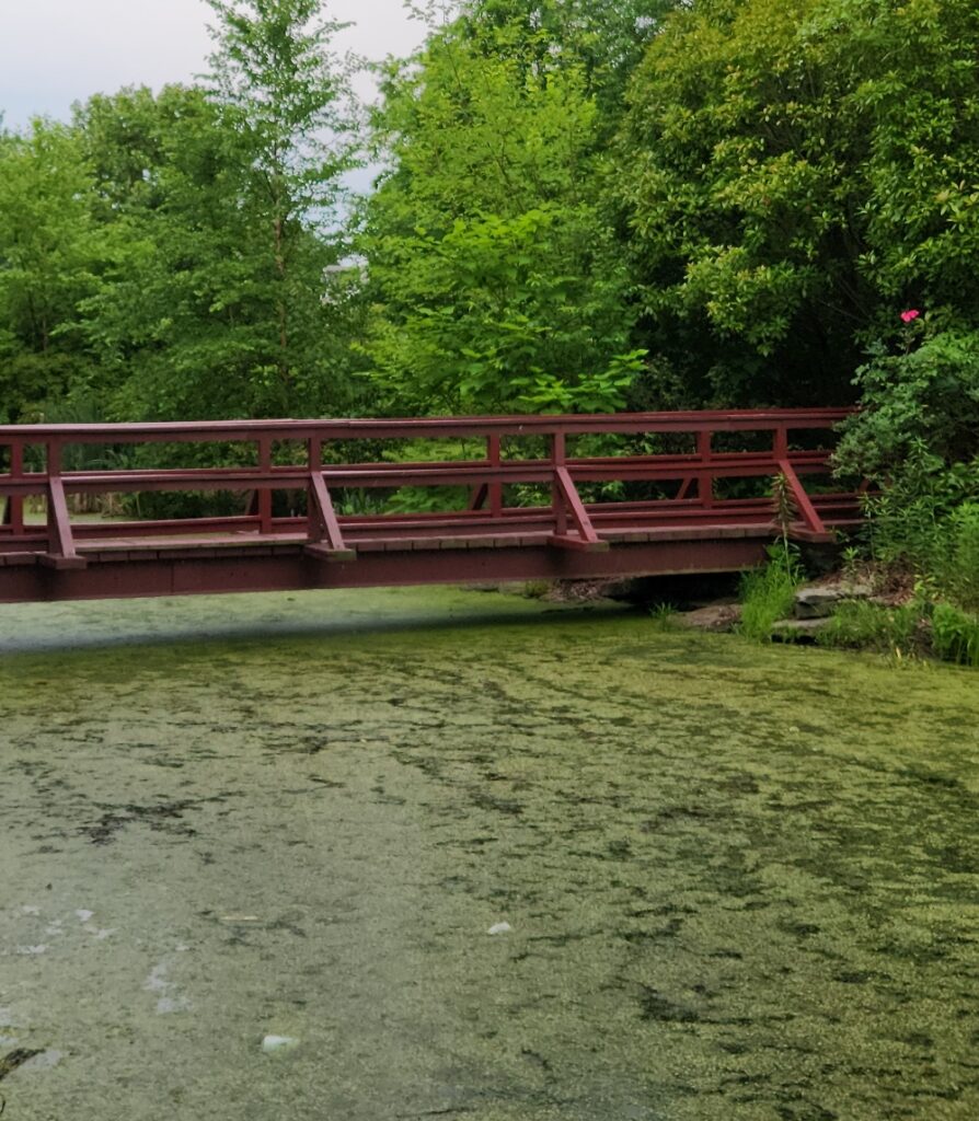 Collingswood creek image Mosquito Shield Southern NJ