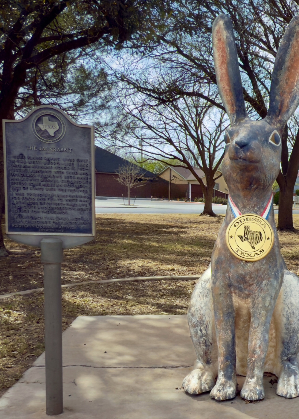 Odessa TX Rabbit Mosquito Shield Permian Basin mobile version