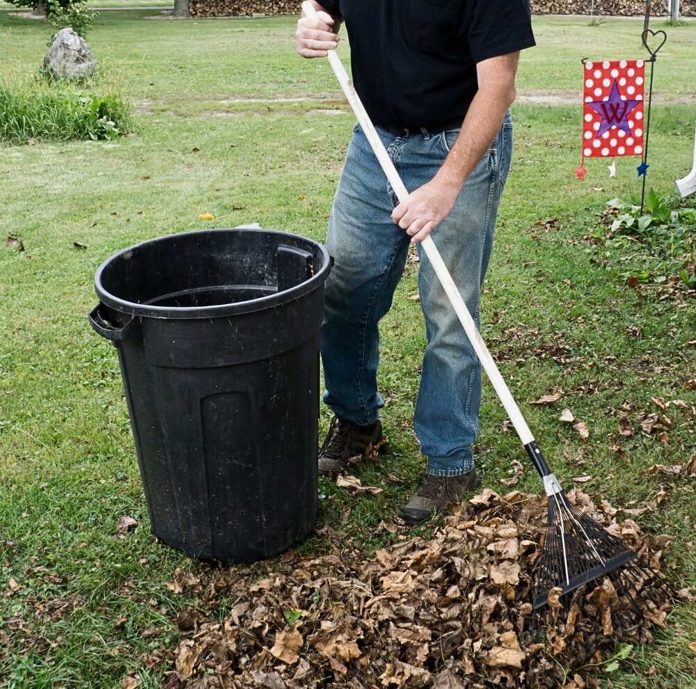 Remove leaves from yard to prevent ticks