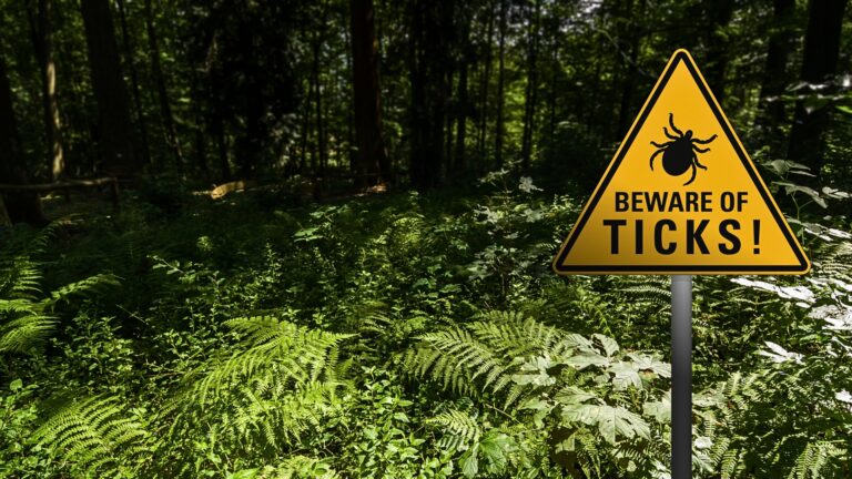 beware of Ticks sign on display