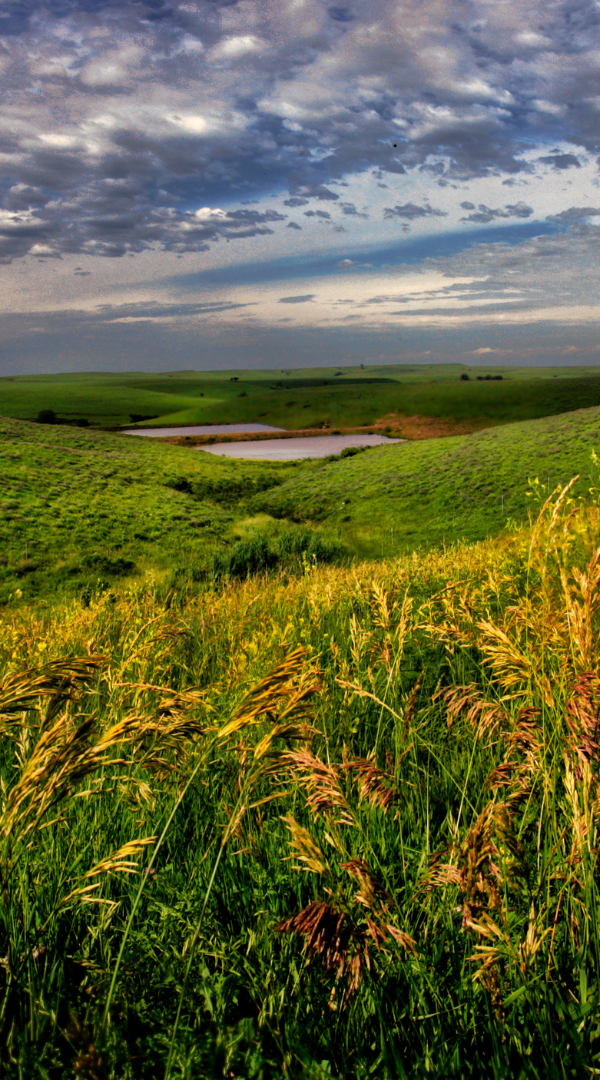 Mosquito control services in Maize, KS.