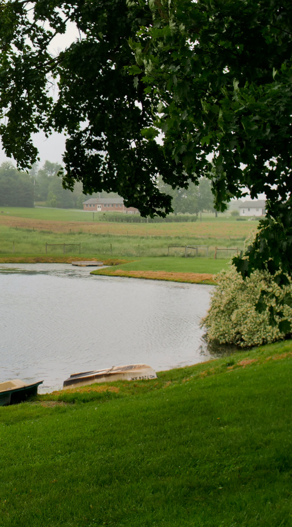 Mosquito control services in Powell, OH.