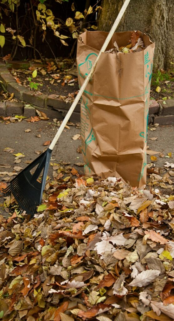 remove fall leaves and plant matter to prevent ticks