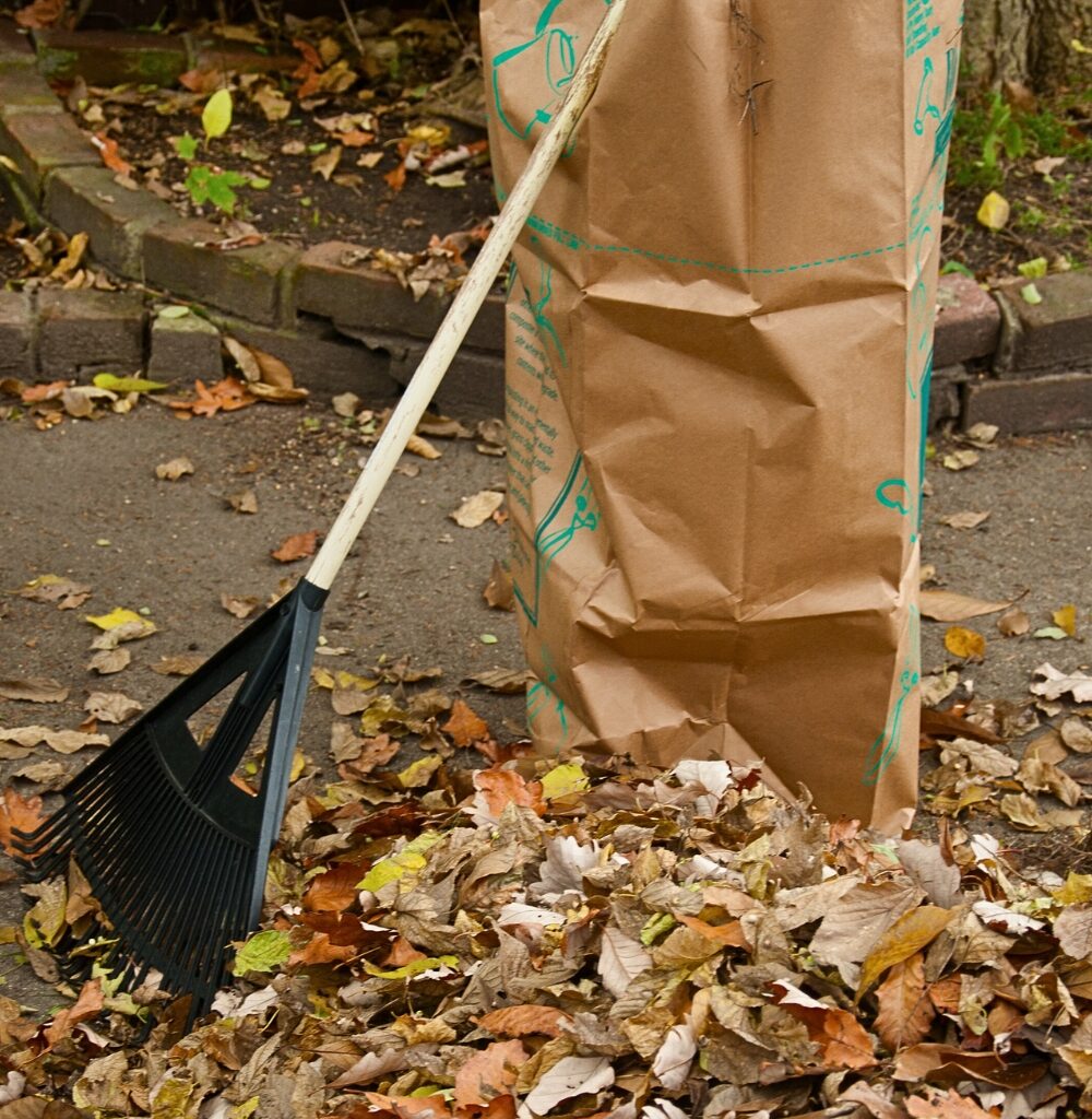 remove fall leaves and plant matter to prevent ticks