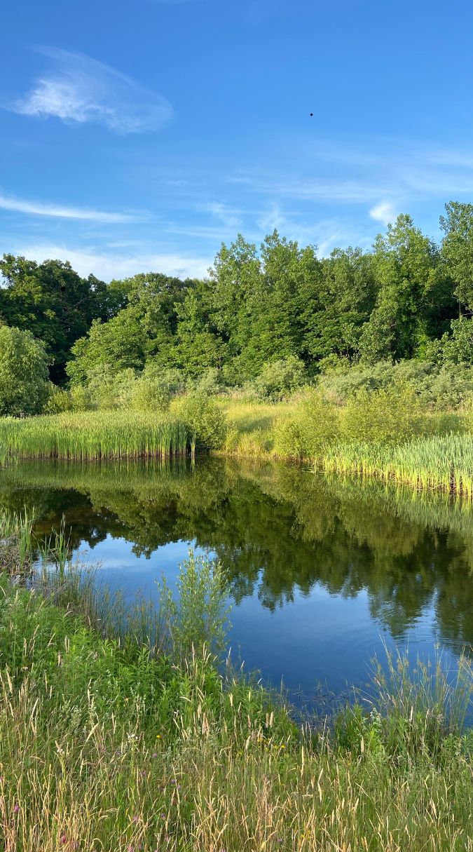 Mosquito control services in Westerville, OH.