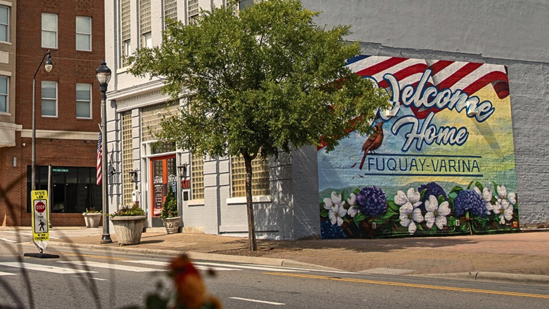 Fuquay Varina Hero Image Mosquito Wake County