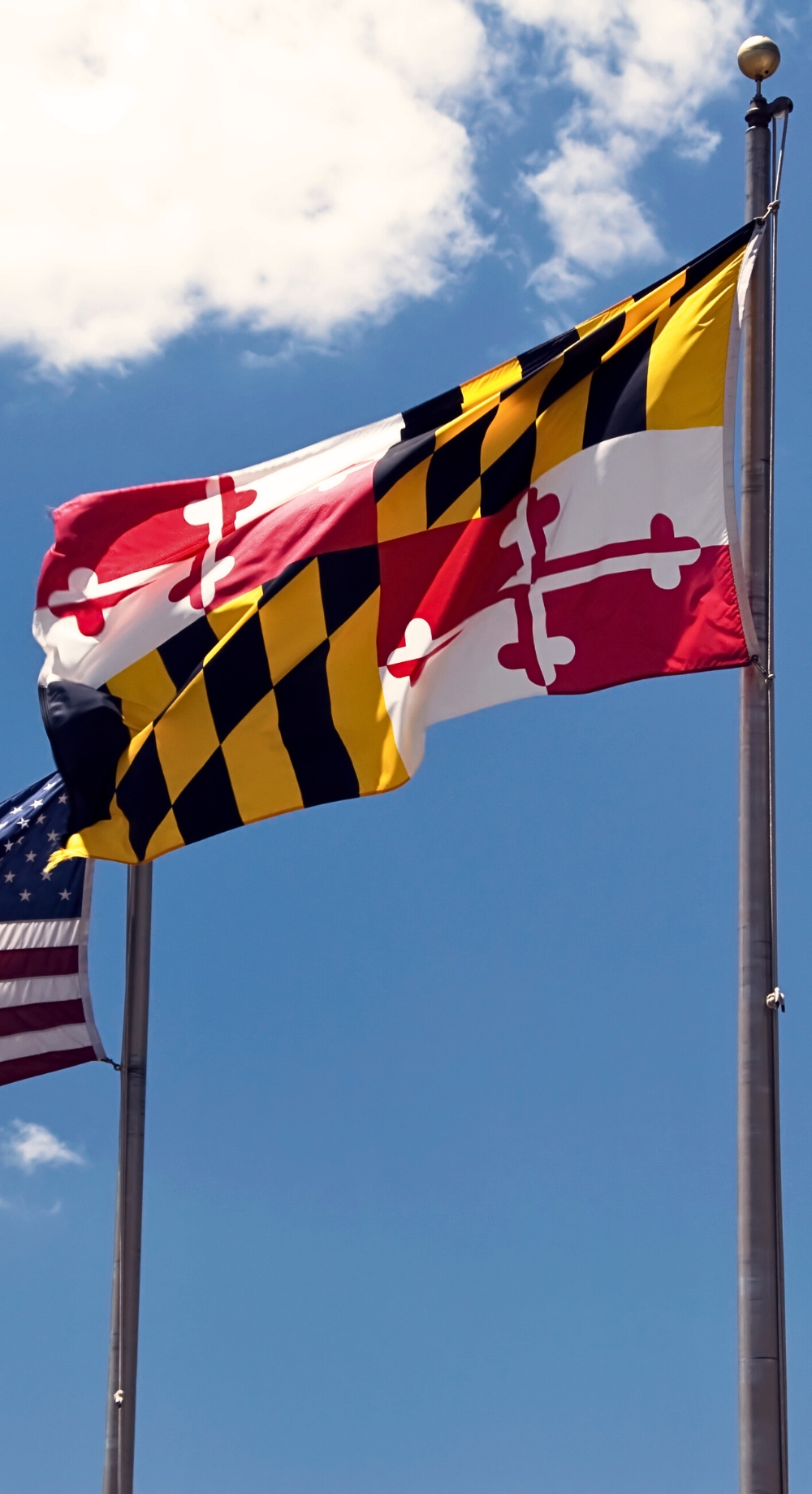 MD Flag