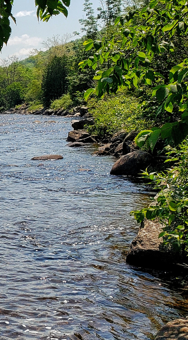 Mosquito control services in Blauvelt, NY.