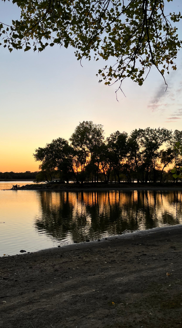 Professional Mosquito Control Company in Colwich