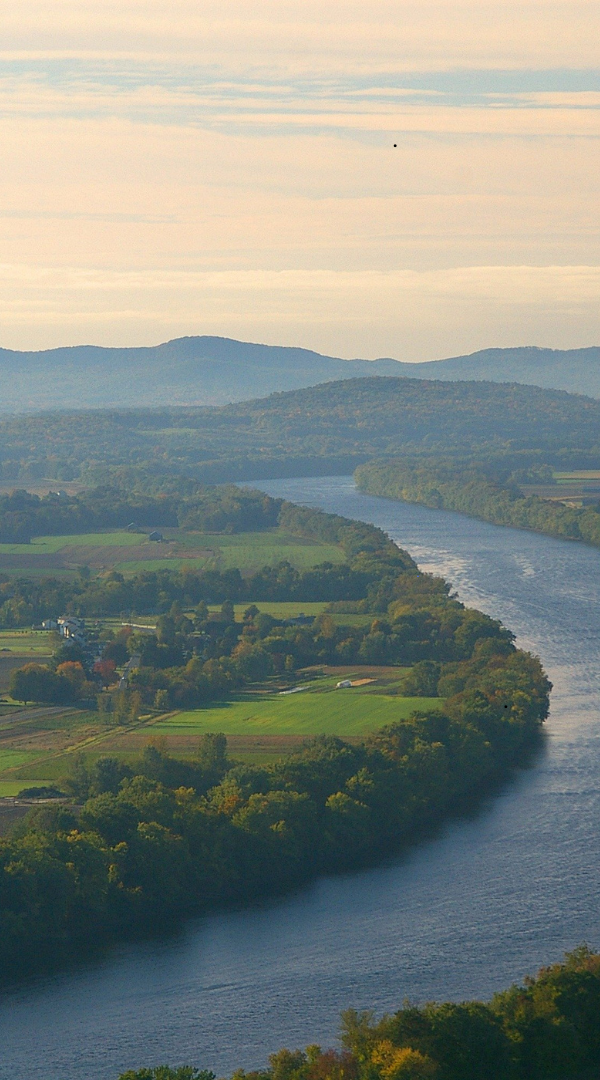 Professional Mosquito Control Company in East Haddam