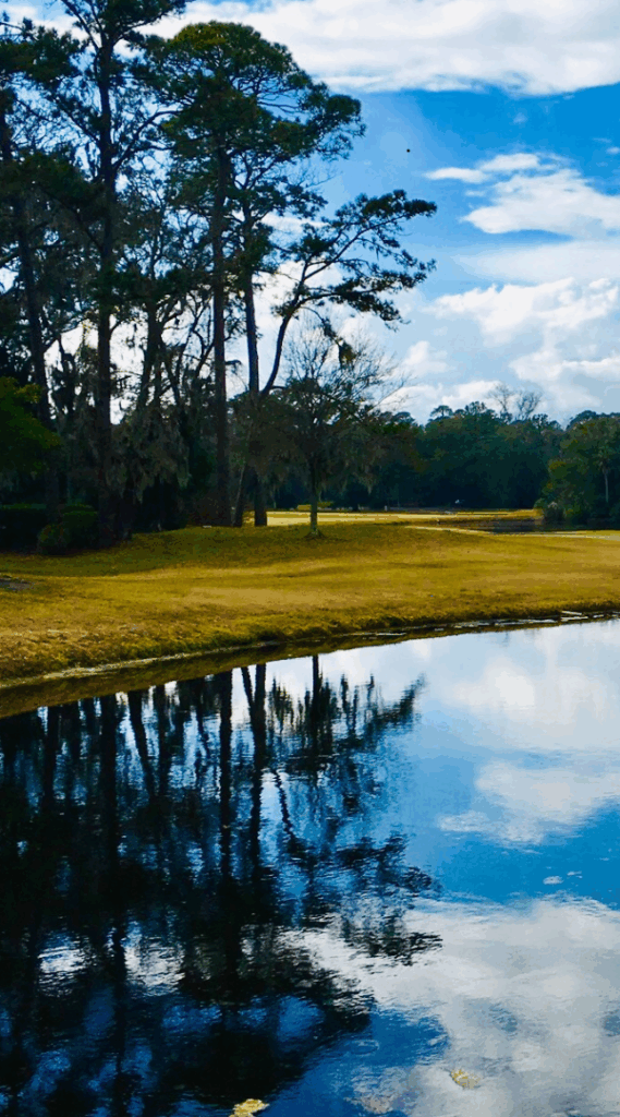 Professional Mosquito Control Company in Lesslie