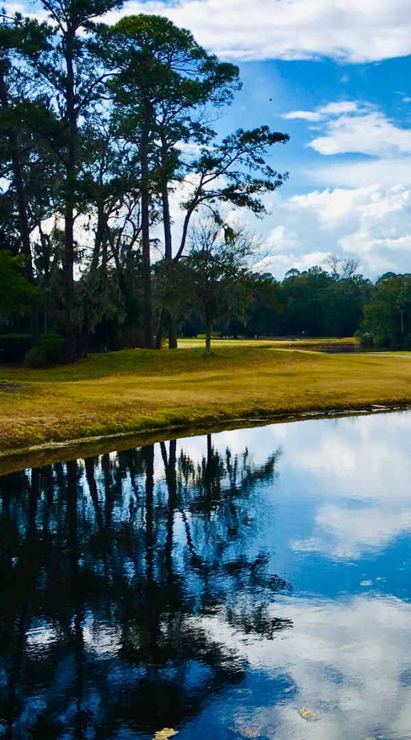 Professional Mosquito Control Company in Lesslie