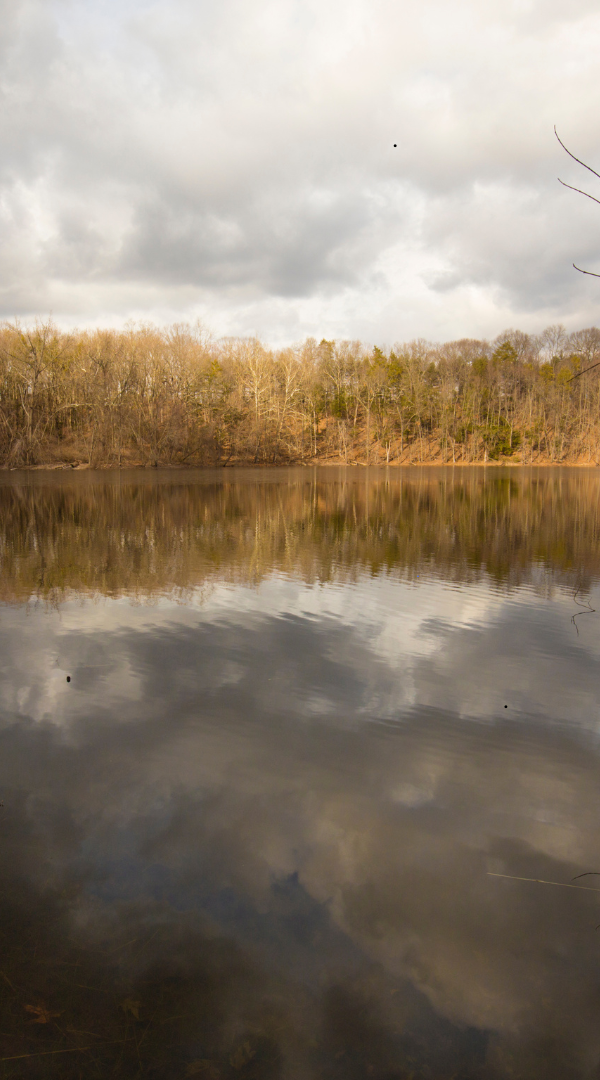 Professional Mosquito Control Company in Sunbury