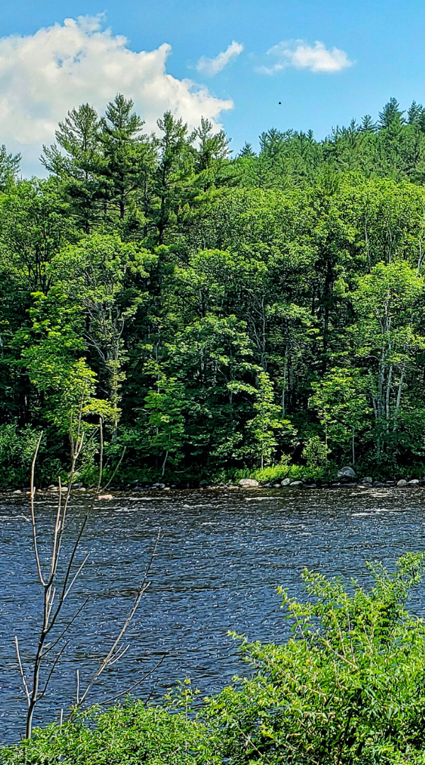 Mosquito control services in West Nyack, NY.