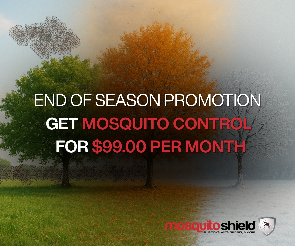 End of season promotion MoShield save Per Month