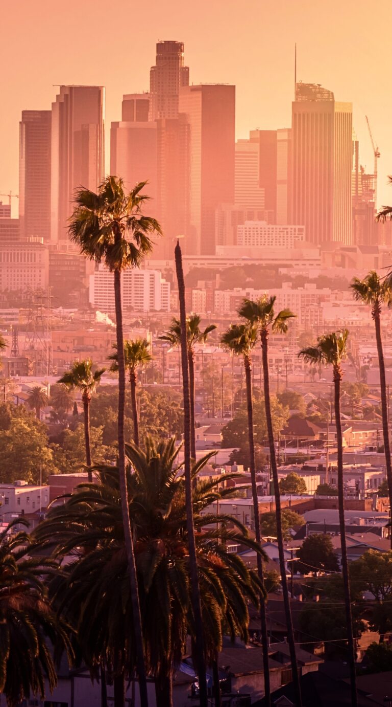 Northwest Los Angeles Mosquito Shield Weather Impact hero image