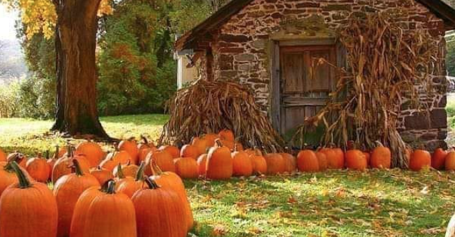 Mullica Hill Fall Festival