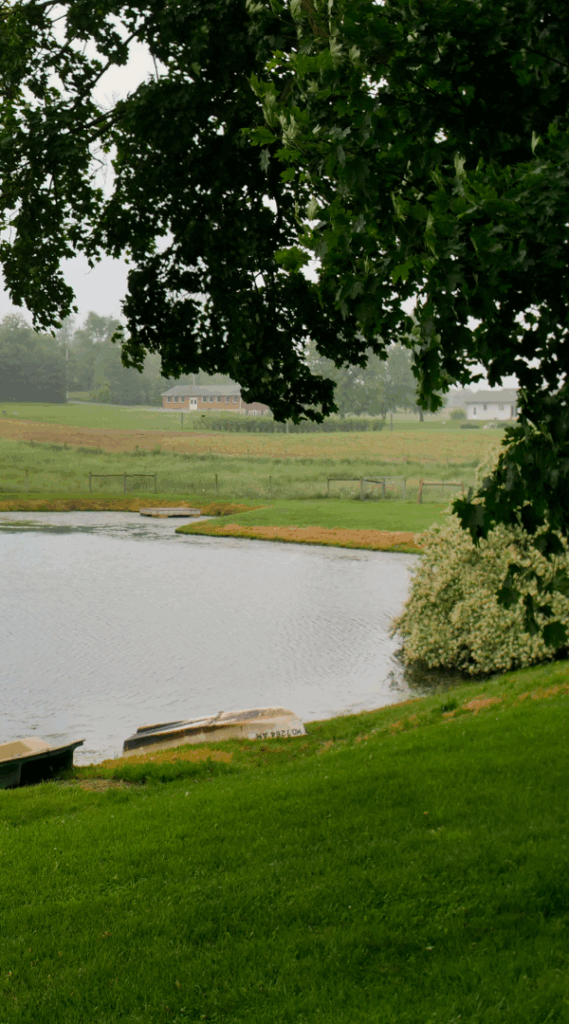 Professional Mosquito Control Company in Highspire, PA.