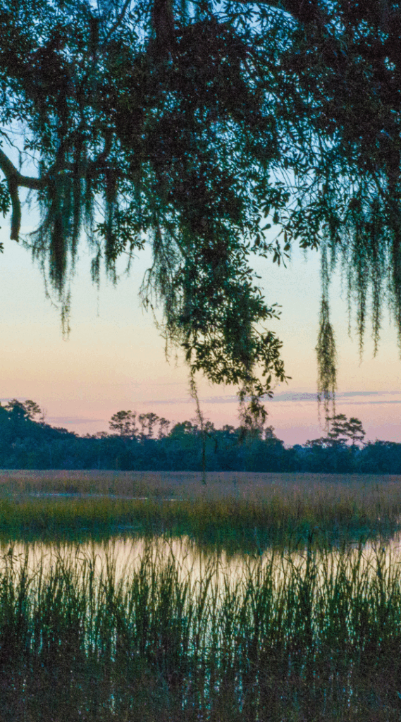 Professional Mosquito Control Company in Bowling Green, SC.