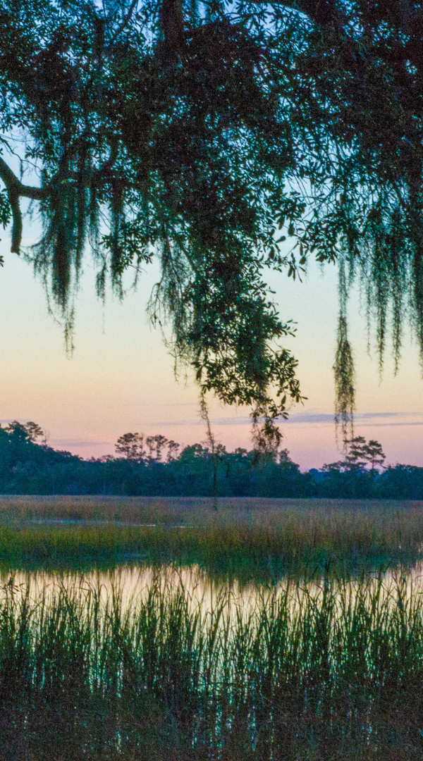 Professional Mosquito Control Company in Bowling Green, SC.