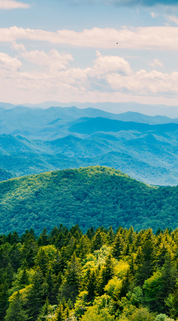 Professional Mosquito Control Company in Gastonia, NC.