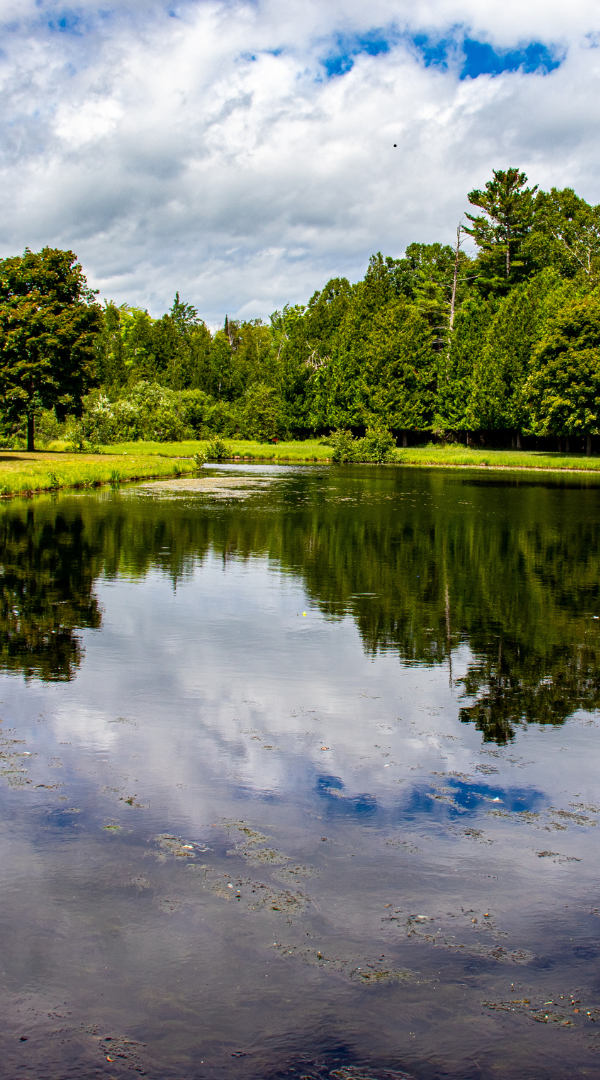 Professional Mosquito Control Company in Omaha, NE.