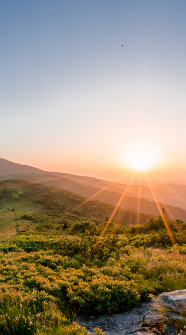Professional Mosquito Control Company in Pleasant View, TN.