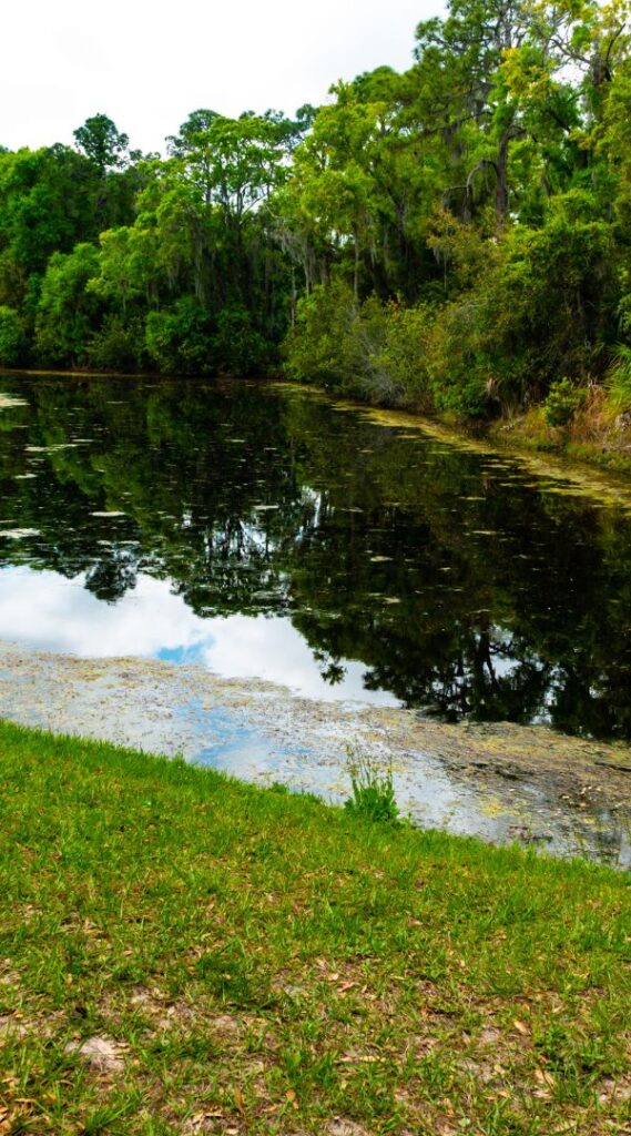 Professional Mosquito Control Company in Bartow, FL.