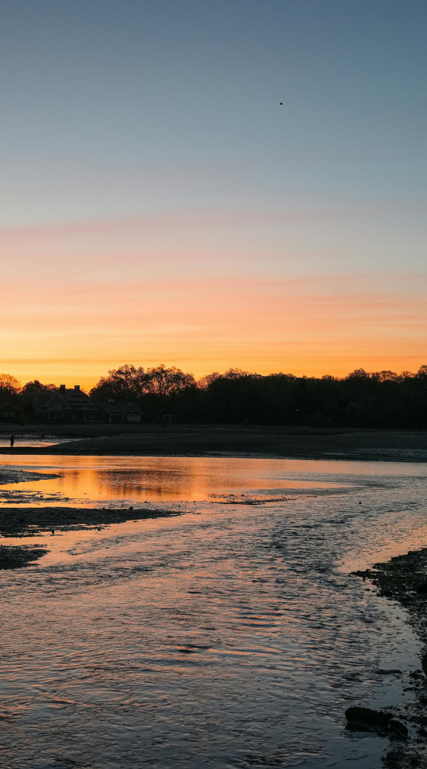 Professional Mosquito Control Company in Mount Kisko, NY.