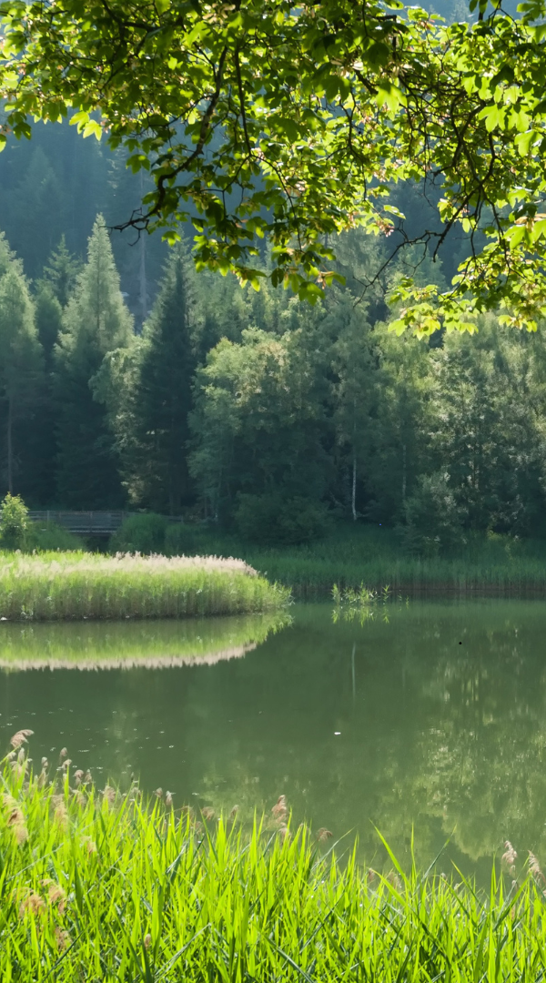 Professional Mosquito Control Company in Valley, NE.