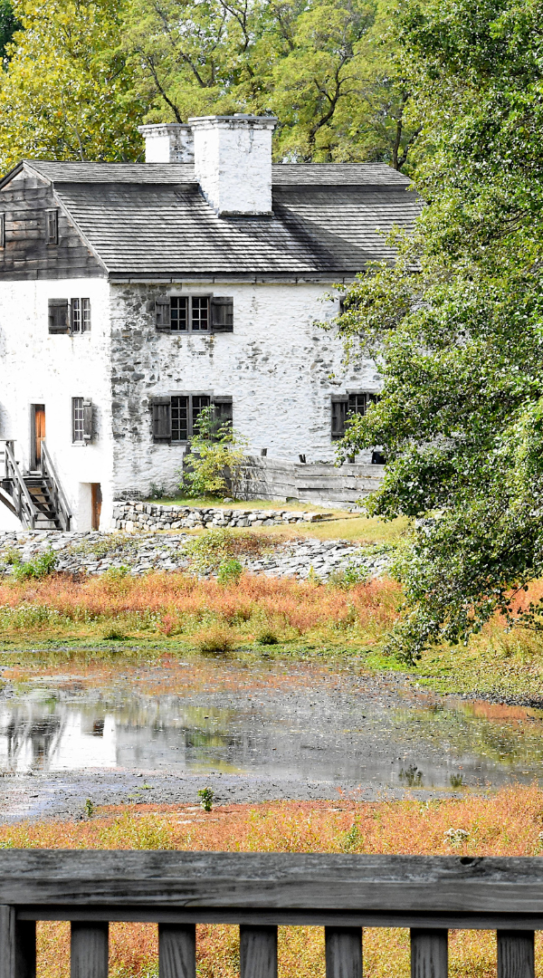 Professional Mosquito Control Company in Kings Park, NY.