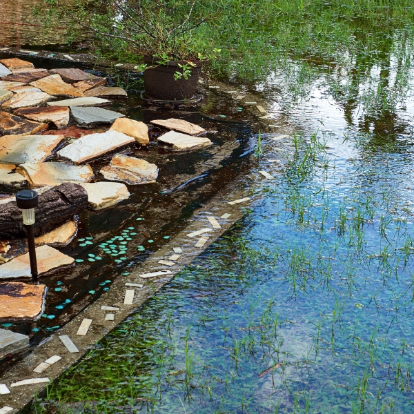 Flooded backyards are a prime mosquito habitat