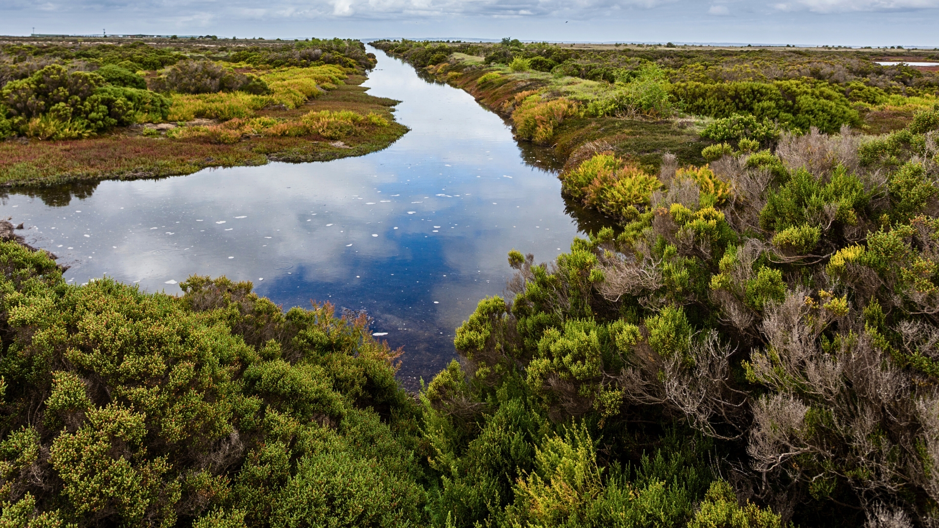 Marshlands lead to mosquito growth