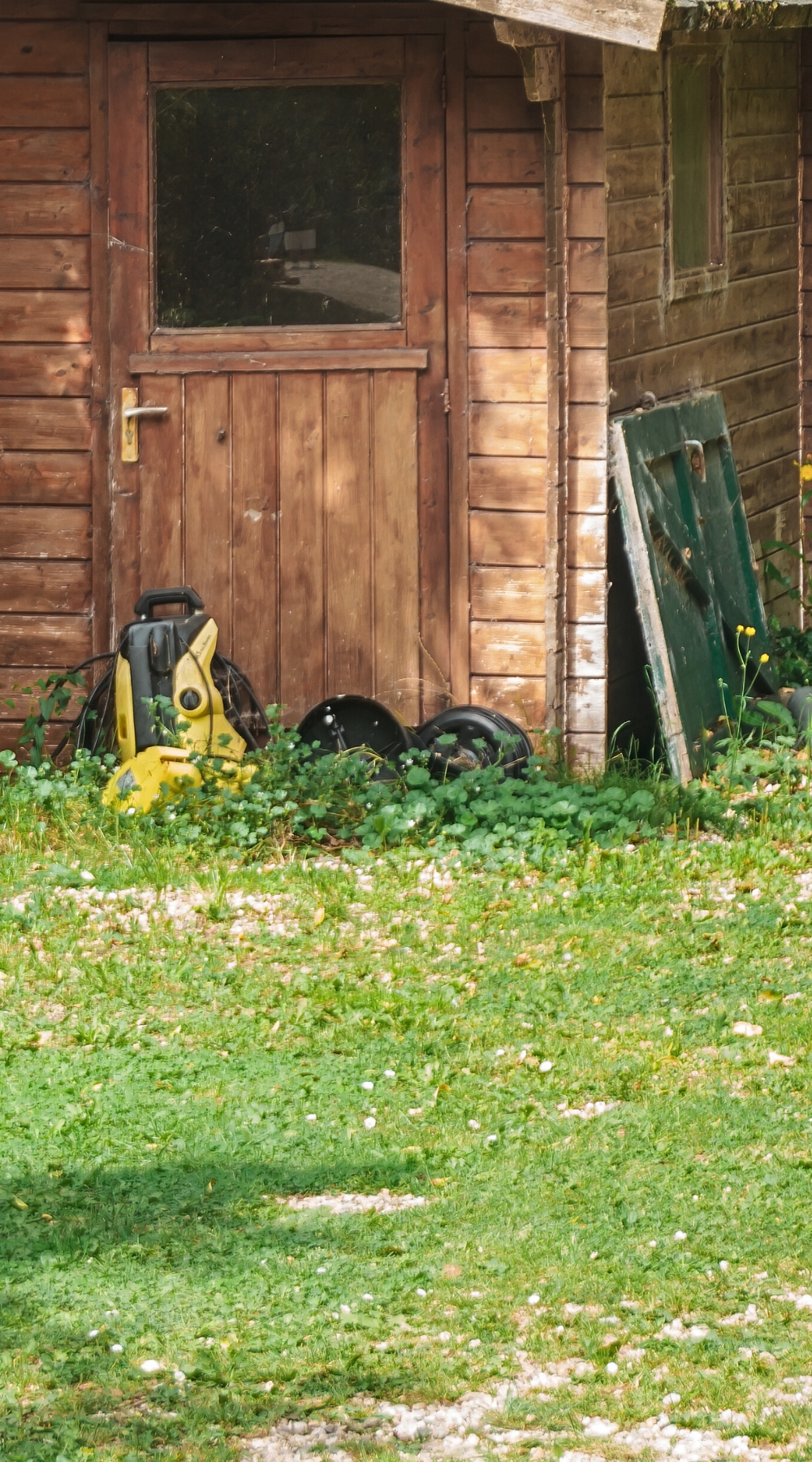 Unkept backyard during spring in Northwest Dallas Mobile version