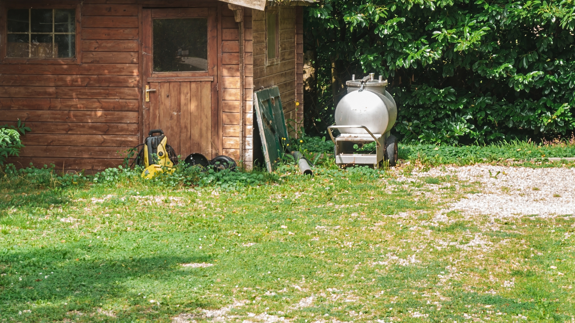 Unkept backyard during spring in Northwest Dallas