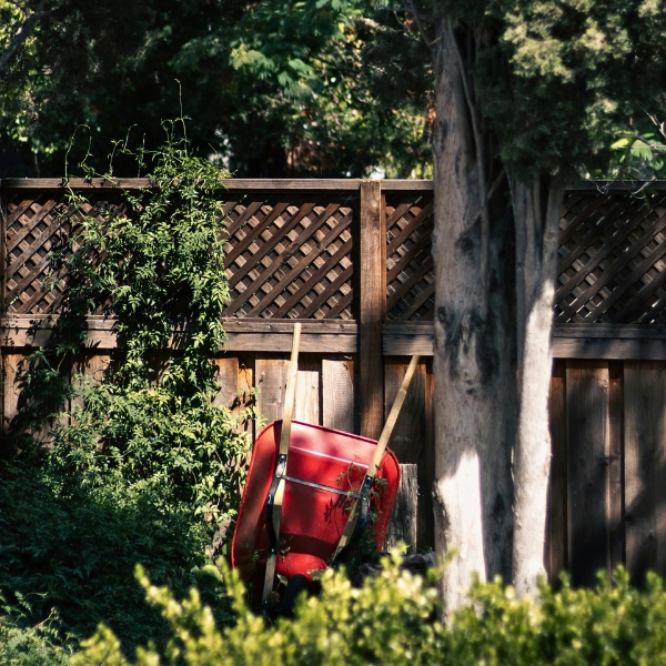 Upkept yards attract mosquitos during spring