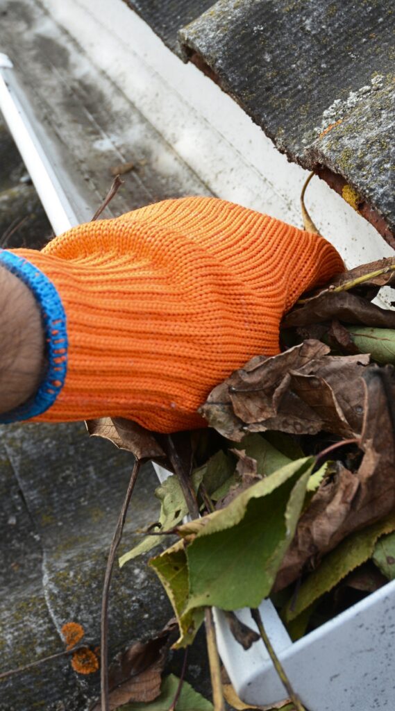 Dirty Gutters Cause Mosquito Issues mobile version