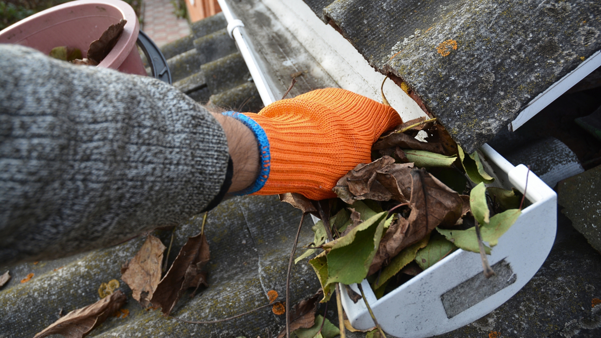 Dirty Gutters Cause Mosquito Issues