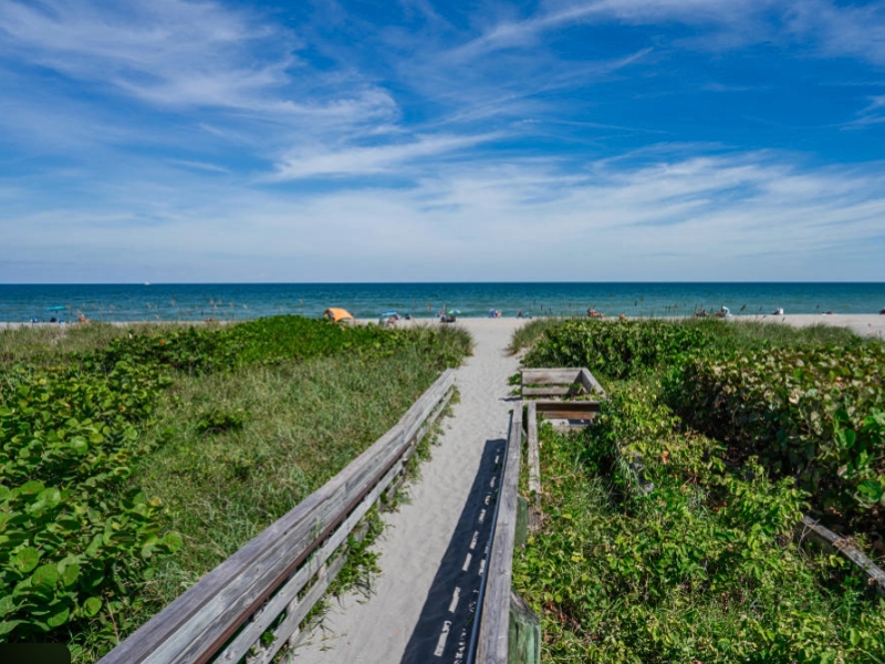 Jupiter Florida beach setting Palm Beaches Mosquito Shield