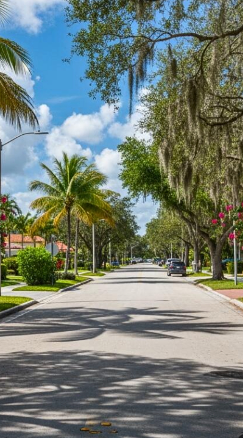 Oakland Park Florida neighborhood photo