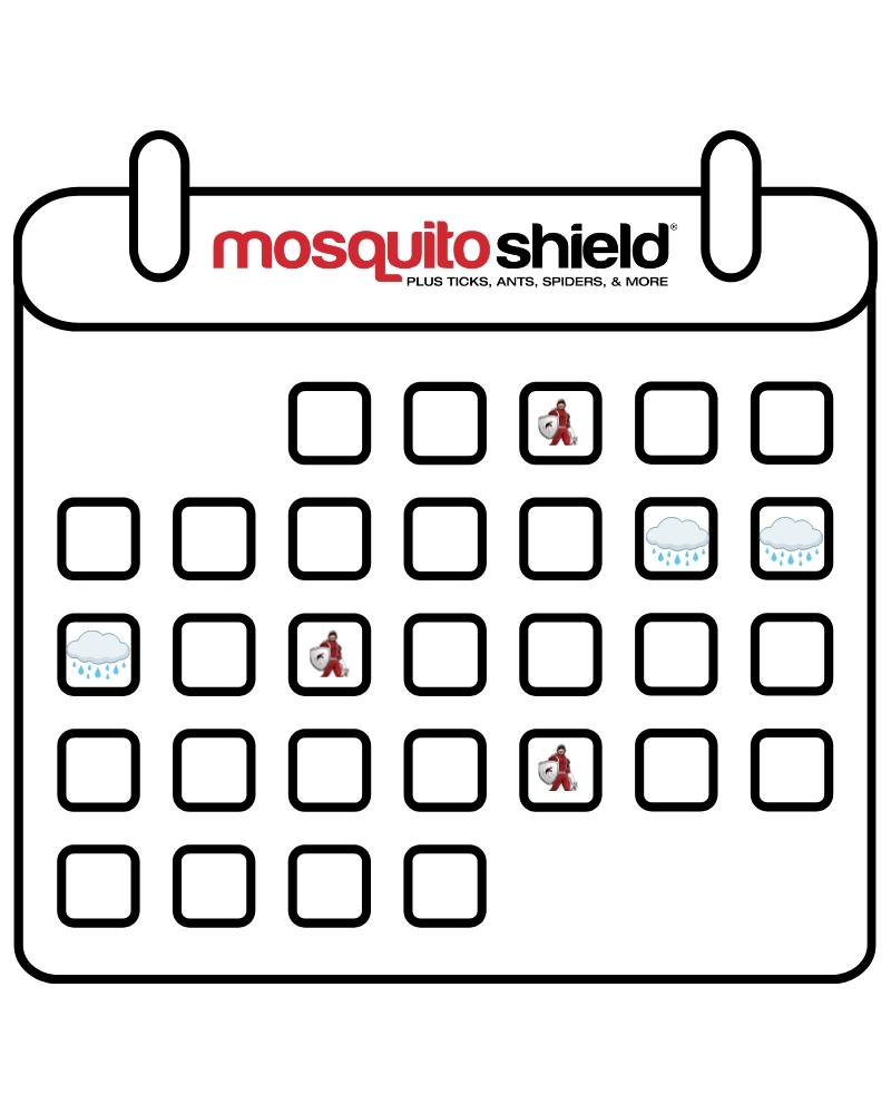Mosquito Shield Frequency schedule after it rains Spray